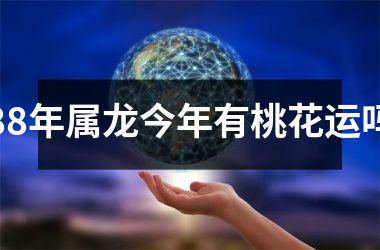 88年属龙今年有桃花运吗
