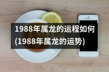 1988年属龙的运程如何(1988年属龙的运势)