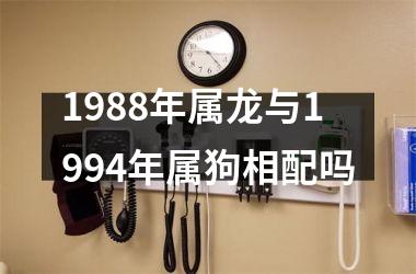 1988年属龙与1994年属狗相配吗