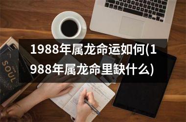 1988年属龙命运如何(1988年属龙命里缺什么)