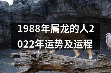 1988年属龙的人2025年运势及运程