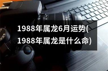 1988年属龙6月运势(1988年属龙是什么命)