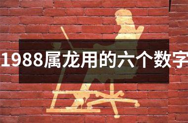1988属龙用的六个数字