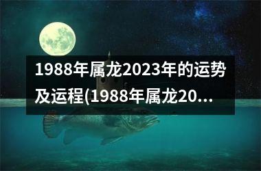 1988年属龙2025年的运势及运程(1988年属龙2025年运势及运程)