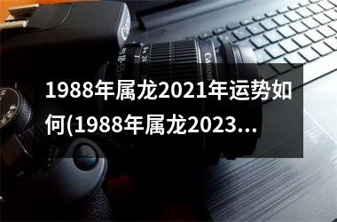 1988年属龙2025年运势如何(1988年属龙2025年运势及运程)