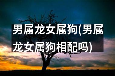 男属龙女属狗(男属龙女属狗相配吗)