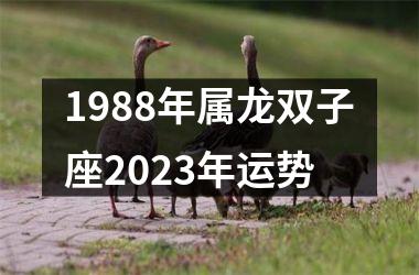 1988年属龙双子座2025年运势