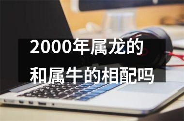 2000年属龙的和属牛的相配吗