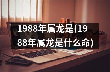 1988年属龙是(1988年属龙是什么命)