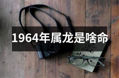 <h3>1964年属龙是啥命