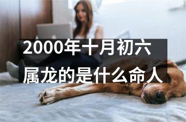 2000年十月初六属龙的是什么命人