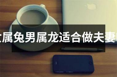 女属兔男属龙适合做夫妻吗