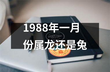 <h3>1988年一月份属龙还是兔
