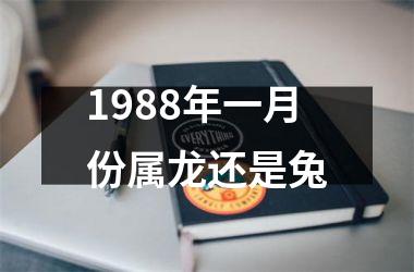 1988年一月份属龙还是兔