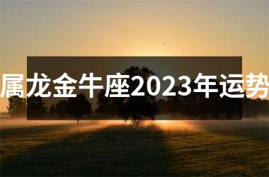 属龙金牛座2025年运势
