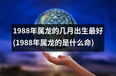 1988年属龙的几月出生最好(1988年属龙的是什么命)