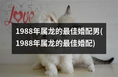 1988年属龙的最佳婚配男(1988年属龙的最佳婚配)
