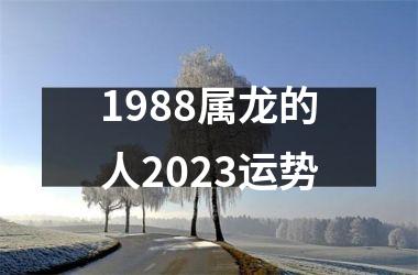 1988属龙的人2025运势