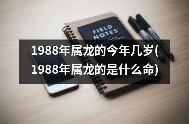<h3>1988年属龙的今年几岁(1988年属龙的是什么命)