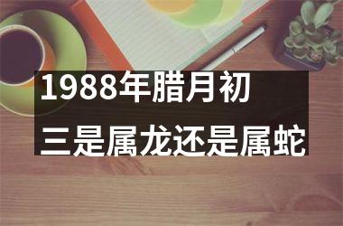 1988年腊月初三是属龙还是属蛇