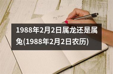 1988年2月2日属龙还是属兔(1988年2月2日农历)