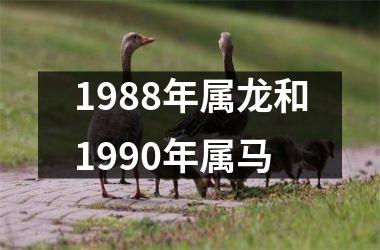 1988年属龙和1990年属马
