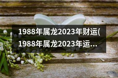1988年属龙2025年财运(1988年属龙2025年运势及运程)