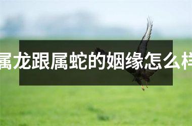 <h3>属龙跟属蛇的姻缘怎么样