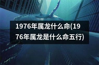 1976年属龙什么命(1976年属龙是什么命五行)