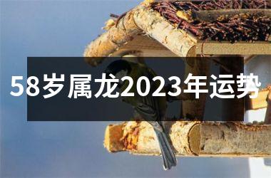 58岁属龙2023年运势