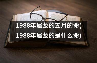 1988年属龙的五月的命(1988年属龙的是什么命)