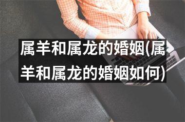 <h3>属羊和属龙的婚姻(属羊和属龙的婚姻如何)
