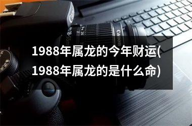 1988年属龙的今年财运(1988年属龙的是什么命)