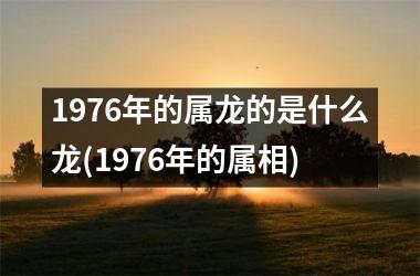 1976年的属龙的是什么龙(1976年的属相)