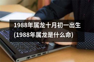 1988年属龙十月初一出生(1988年属龙是什么命)