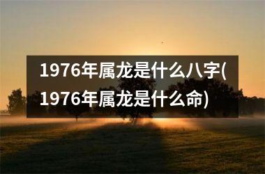 1976年属龙是什么八字(1976年属龙是什么命)