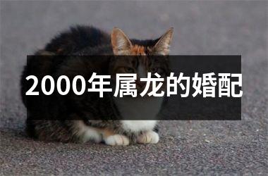 <h3>2000年属龙的婚配