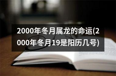 2000年冬月属龙的命运(2000年冬月19是阳历几号)