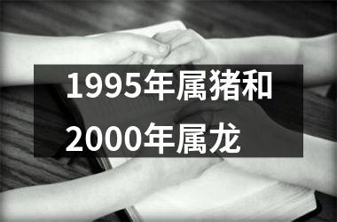 1995年属猪和2000年属龙