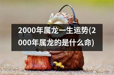 2000年属龙一生运势(2000年属龙的是什么命)