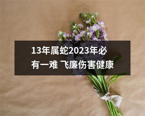 13年属蛇2025年必有一难飞廉伤害健康