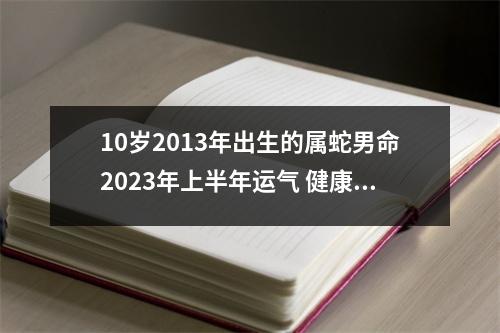 10岁2013年出生的属蛇男命2025年上半年运气健康运好吗