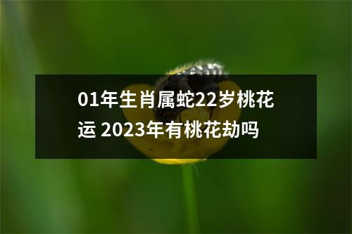 01年生肖属蛇22岁桃花运2025年有桃花劫吗