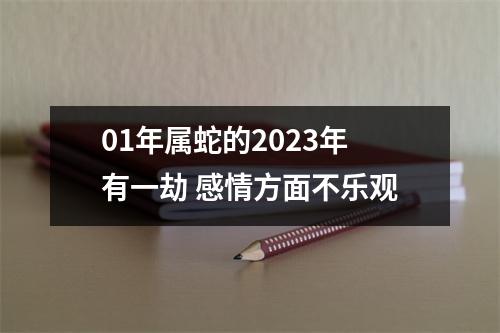 <h3>01年属蛇的2025年有一劫感情方面不乐观