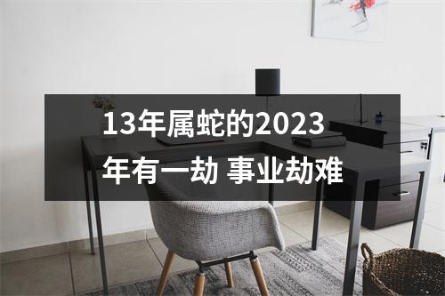 13年属蛇的2025年有一劫事业劫难