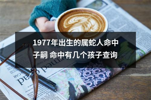 <h3>1977年出生的属蛇人命中子嗣命中有几个孩子查询