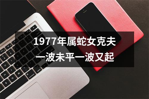 1977年属蛇女克夫一波未平一波又起
