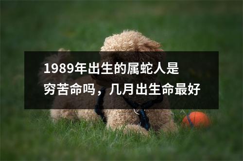 1989年出生的属蛇人是穷苦命吗，几月出生命好