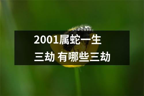 2001属蛇一生三劫有哪些三劫