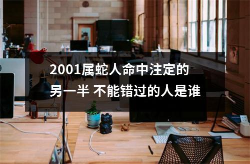 2001属蛇人命中注定的另一半不能错过的人是谁